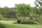 Montgomeryresidential-landscaping-40.jpg; ?>